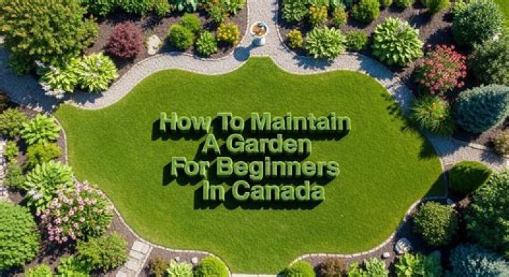 How do you maintain a backyard garden?