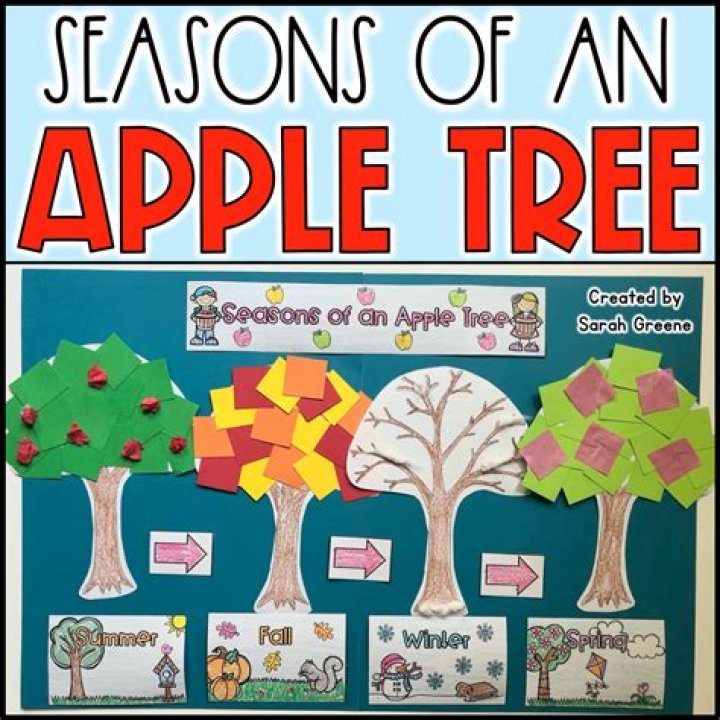 How do you reduce the height of an apple tree?
