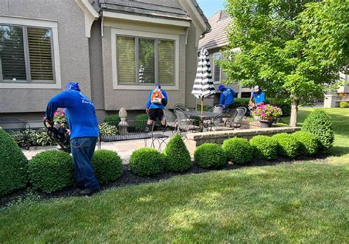How do you revive an unhealthy lawn?