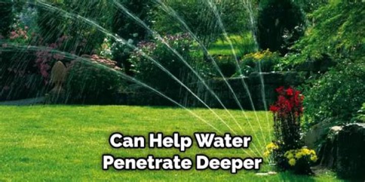 How do you revive Overwatered sod?