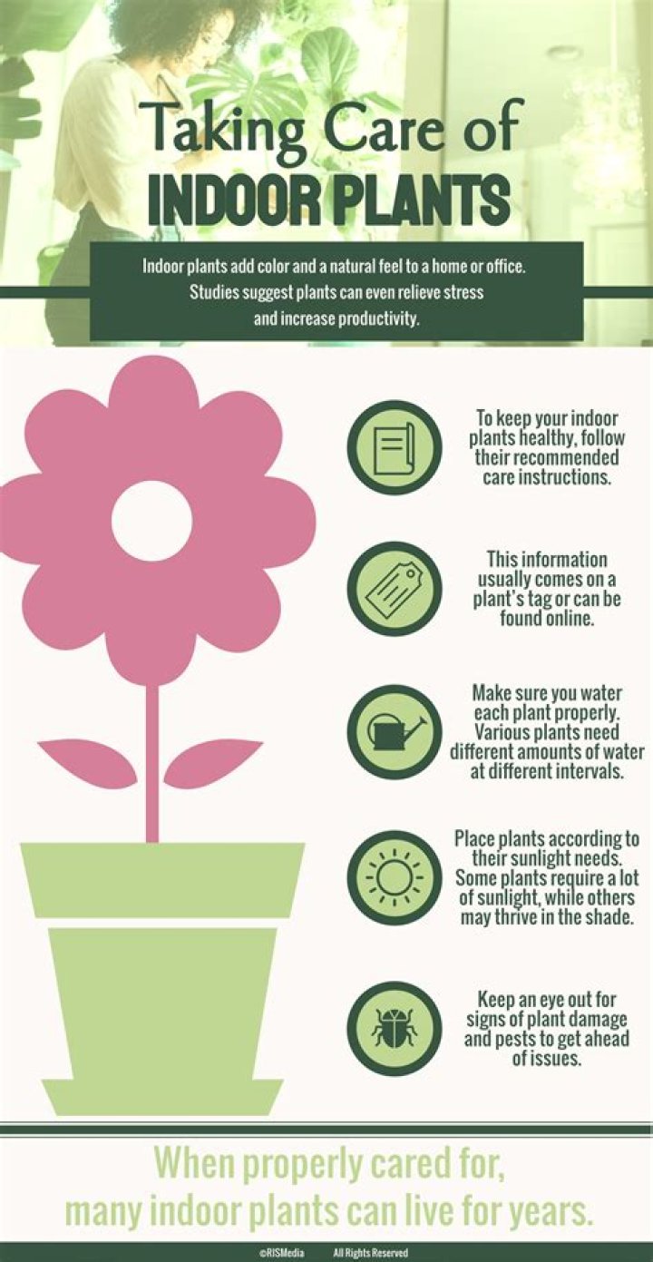How do you take care of a tall plant?