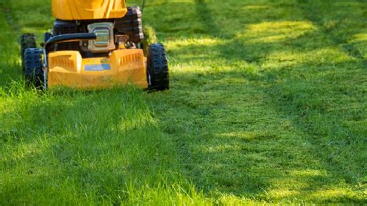 How long should grass be cut for riding lawn mower?