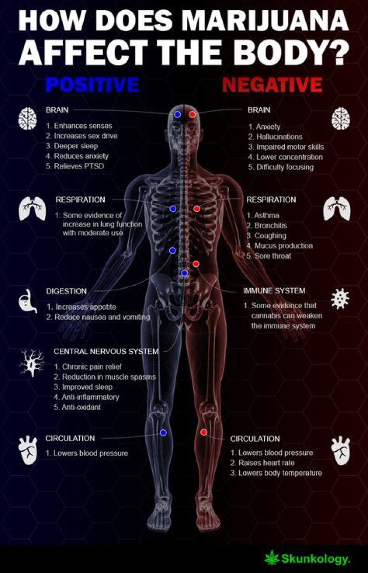 How many questions do you have about marijuana?