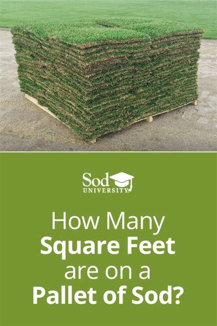 How many square feet is a roll of grass?