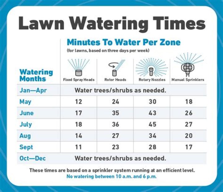 How many times a week should I water my lawn in winter?