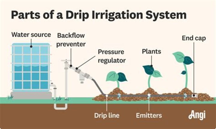 How much does it cost to put in drip irrigation system?