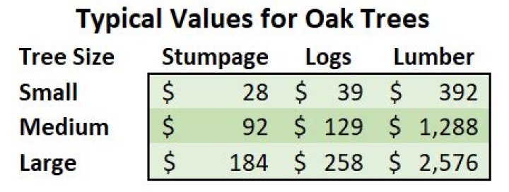 How much is an old oak tree worth?