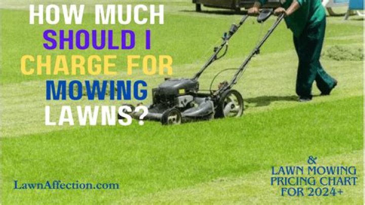 How much should I budget for lawn care?