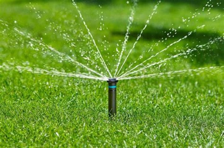 How much water do you use watering lawn?