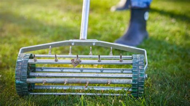How often should I soil test my lawn?