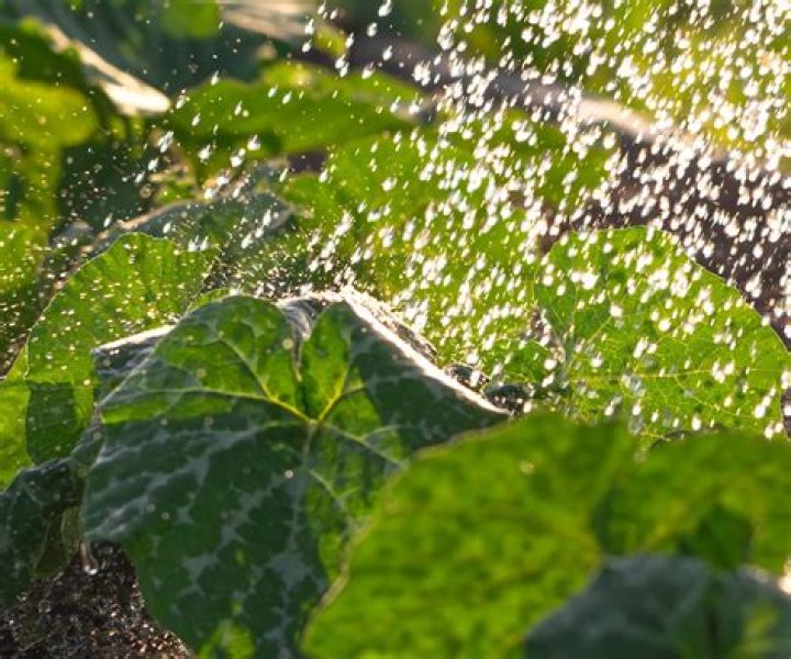 How often should you change garden soil?