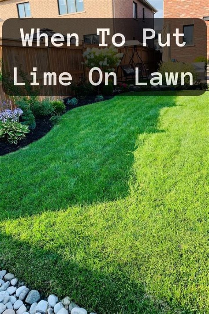 How often should you put lime down on your lawn?