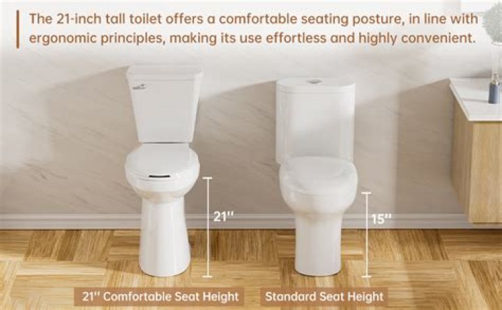 How tall are average toilets?