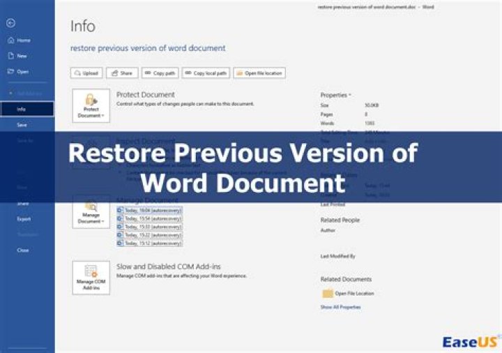 How to retrieve the description text for the error in your application?