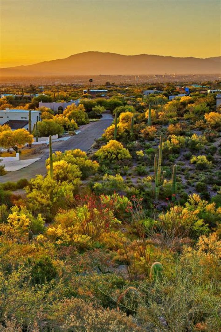 Is California Central Coast a good place to live?