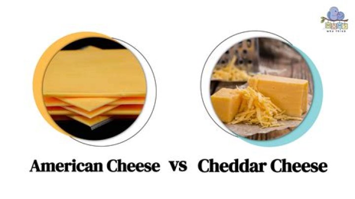 Is Cheddar cheese a hard cheese?