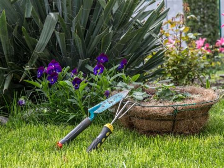 Is November too late for sod?