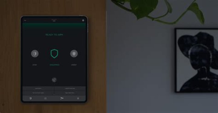 Is savant a good system?