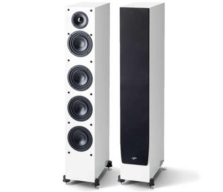 Is the monitor se loudspeaker part of paradigm?