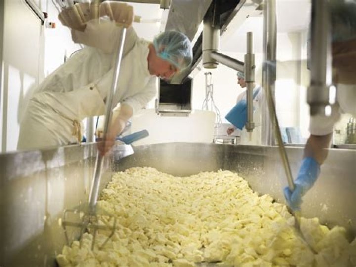 Is there money in cheese making?