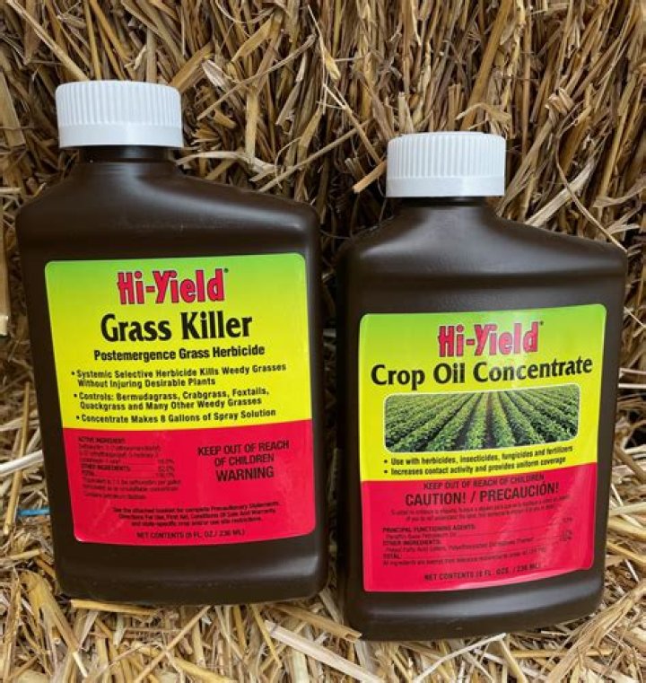 Is urine supposed to kill grass?