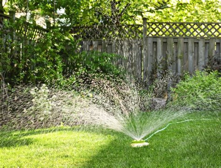 Is watering the lawn a waste of water?