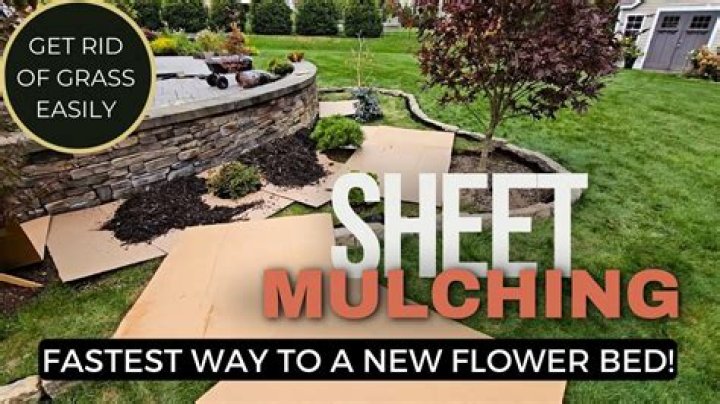 Should you use mulch in a flower bed?