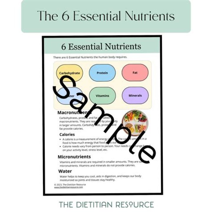 What are the main nutrients in ice cream?