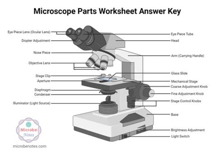 What are the parts of the value line report?