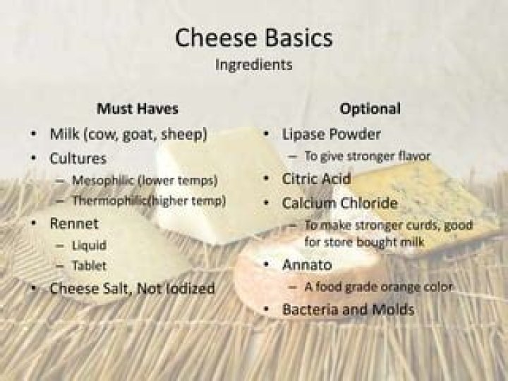 What are the two biggest nutritional components of cheese?