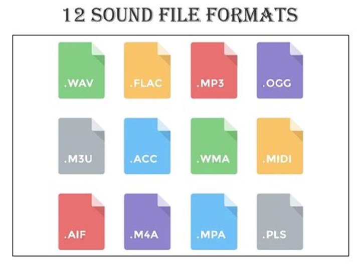 What audio format will play on all CD players?