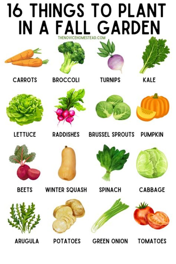 What can I plant in my edible garden?