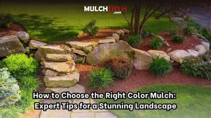 What color mulch lasts longest?