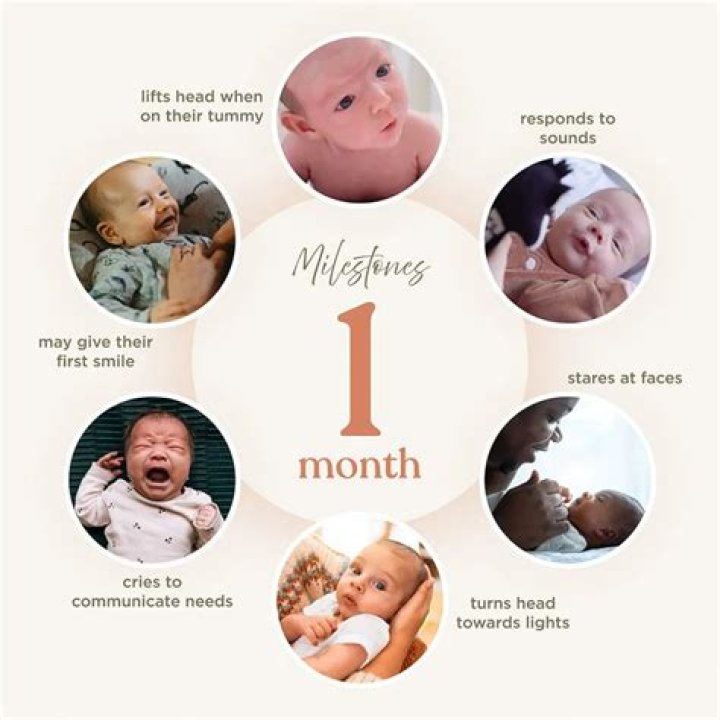 What do you call the first months of a new job?