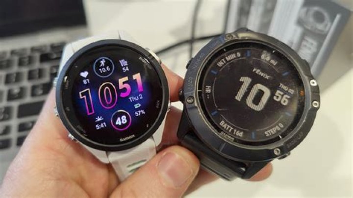 What do you need to know about Garmin Alpha 100?