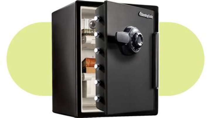 What do you need to know about SentrySafe safes?