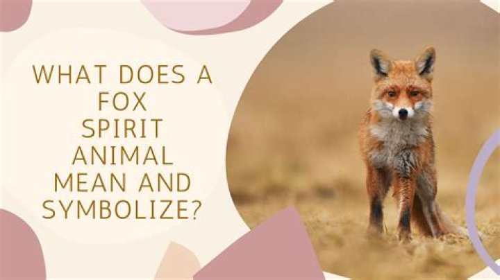 What does a fox tail symbolize?