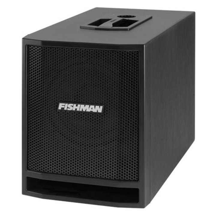 What does Fishman sa330x performance audio system do?