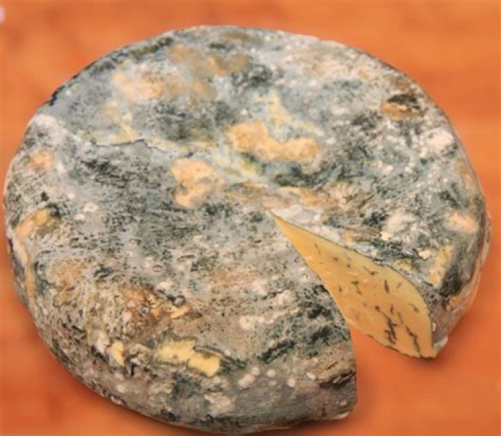 What does mold do to blue cheese?