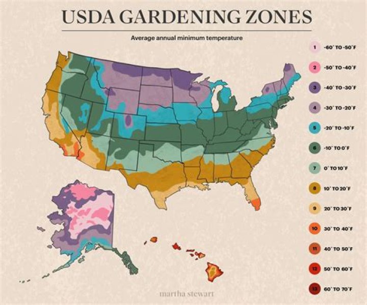 What gardening zone is Japan in?