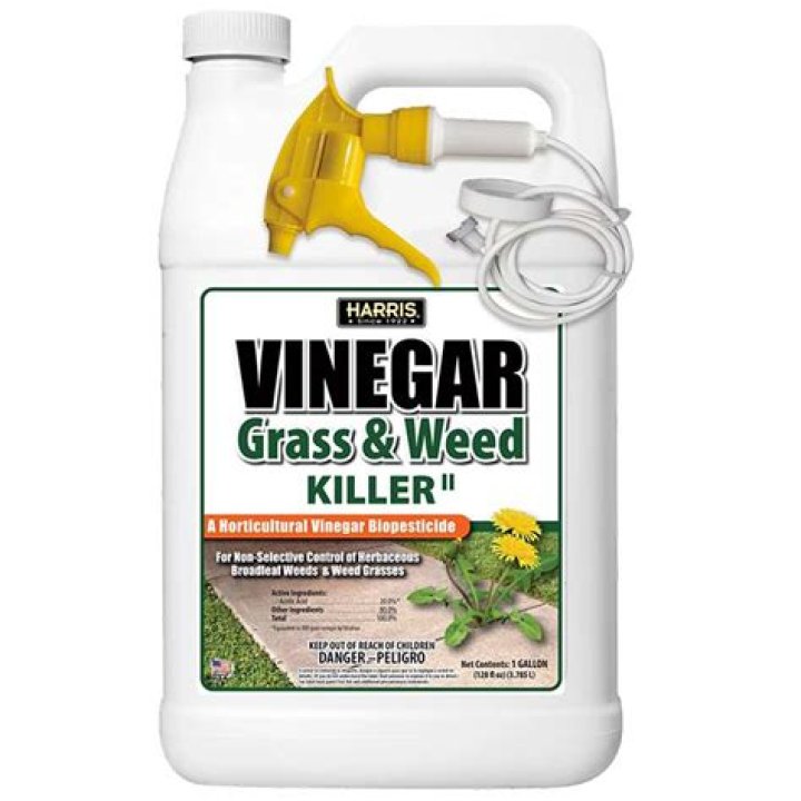 What grass killer is safe for dogs?