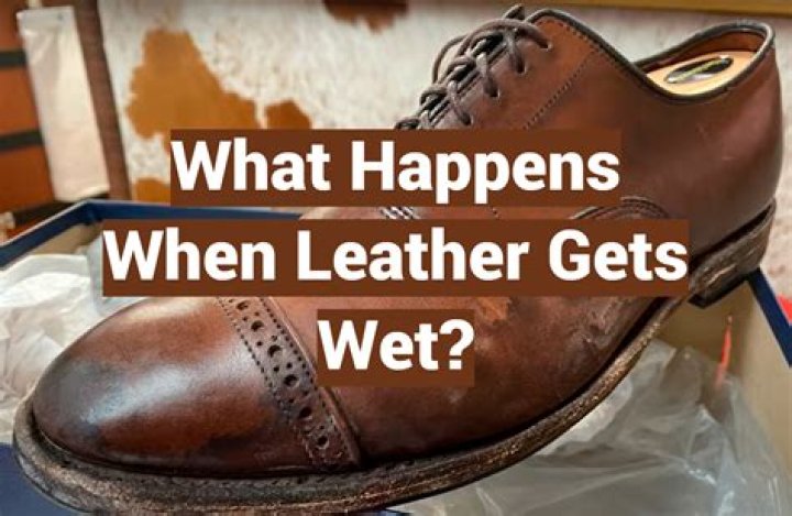 What happens if leather gets wet?