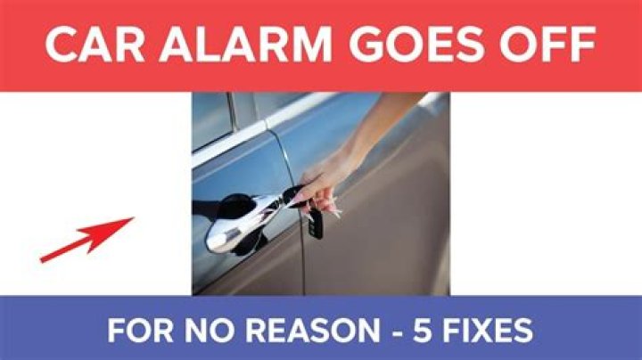 What happens if you accidentally set off an alarm?