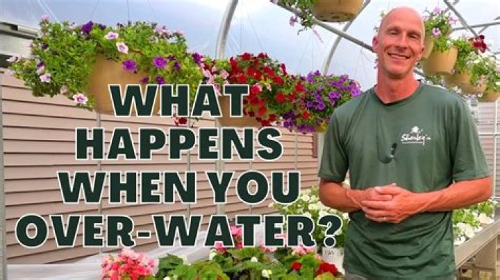What happens if you water your flowers too much?