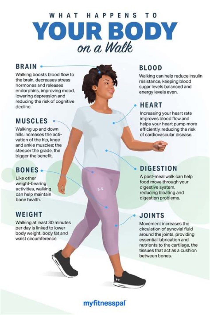 What happens to your body when you walk in the woods?