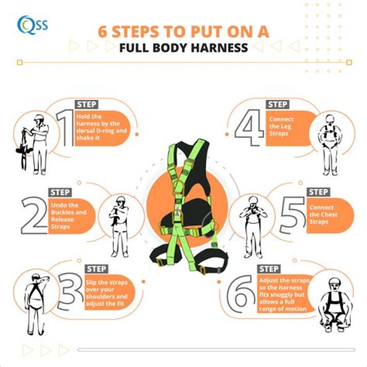 What is a harness breakout?