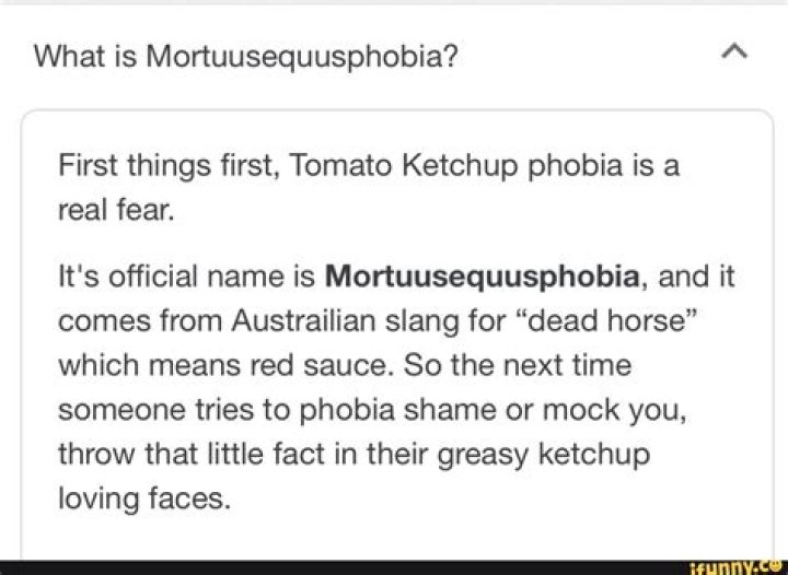 What is Mortuusequusphobia?