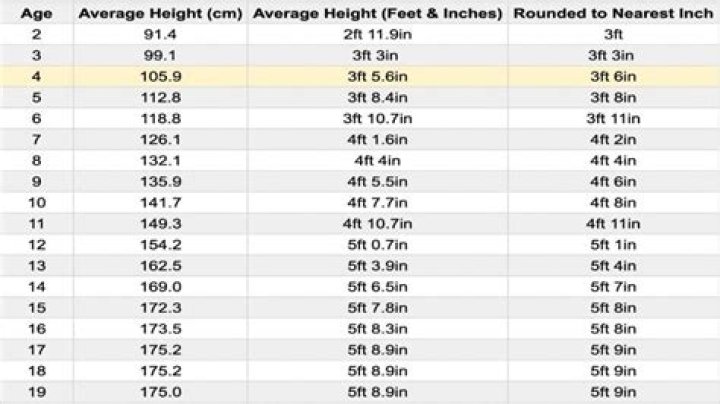 What is the average size of a folding card table?