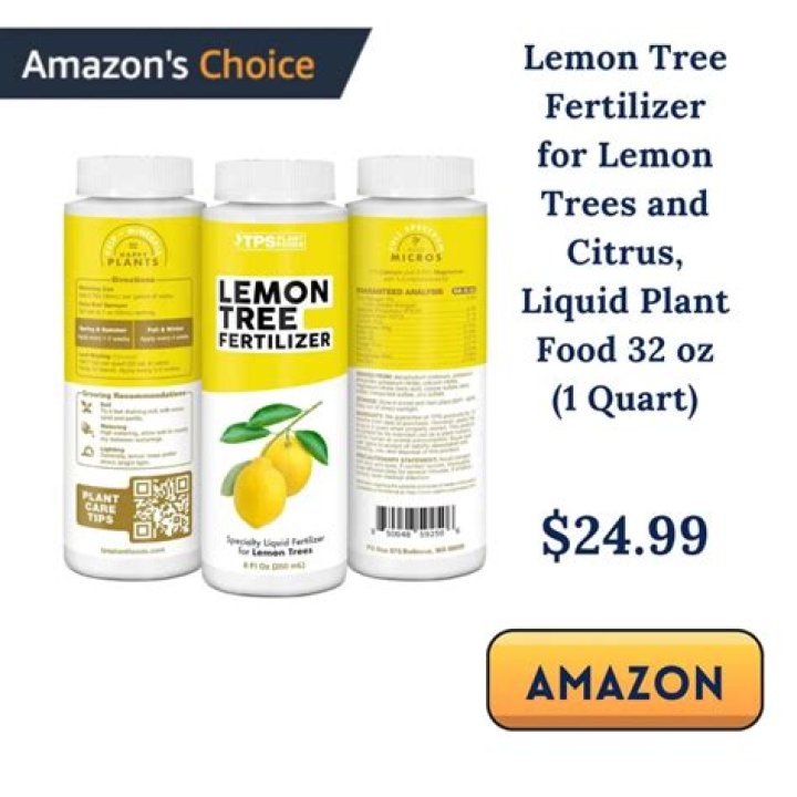 What is the best liquid fertilizer for citrus trees?