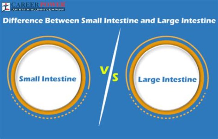 What is the difference between small and large speakers?